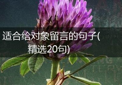 适合给对象留言的句子(精选20句)