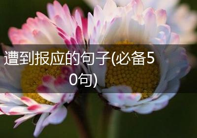 遭到报应的句子(必备50句)