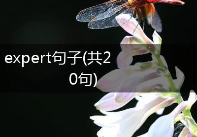 expert句子(共20句)