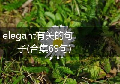 elegant有关的句子(合集69句)