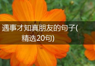 遇事才知真朋友的句子(精选20句)