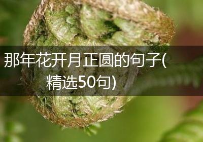 那年花开月正圆的句子(精选50句)