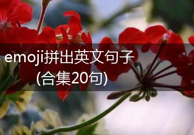 emoji拼出英文句子(合集20句)