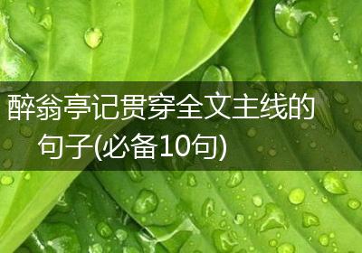 醉翁亭记贯穿全文主线的句子(必备10句)