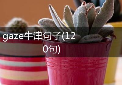 gaze牛津句子(120句)