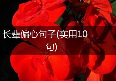 长辈偏心句子(实用10句)