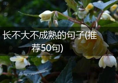 长不大不成熟的句子(推荐50句)