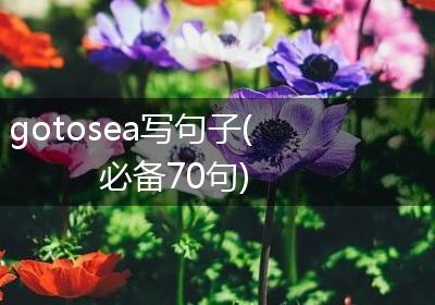 gotosea写句子(必备70句)