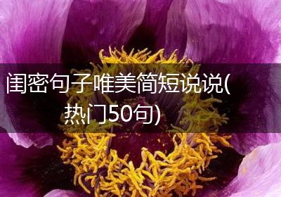 闺密句子唯美简短说说(热门50句)