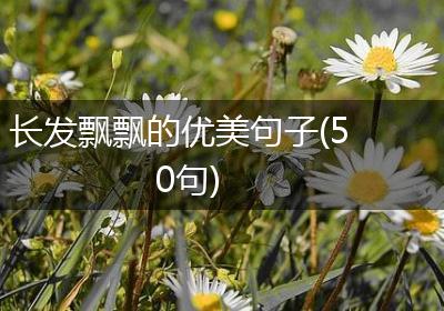 长发飘飘的优美句子(50句)