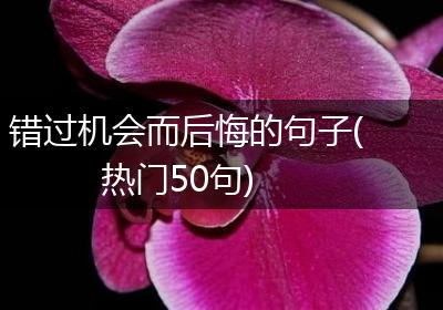 错过机会而后悔的句子(热门50句)