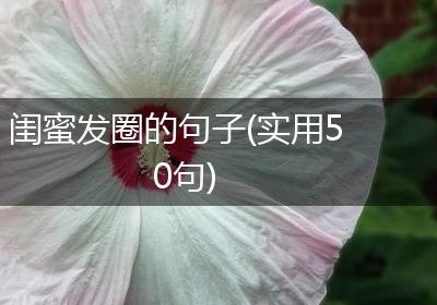 闺蜜发圈的句子(实用50句)