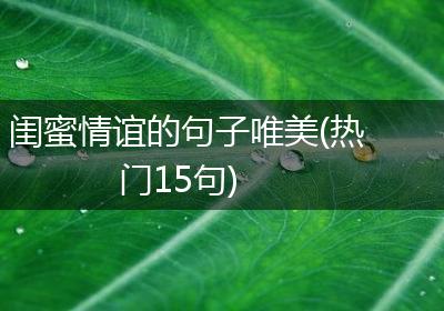 闺蜜情谊的句子唯美(热门15句)