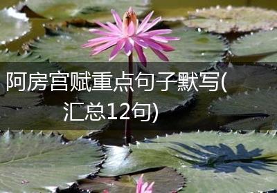 阿房宫赋重点句子默写(汇总12句)