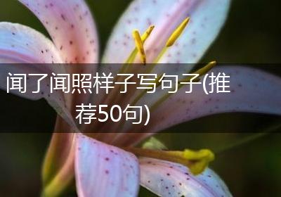 闻了闻照样子写句子(推荐50句)