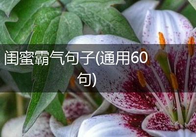 闺蜜霸气句子(通用60句)
