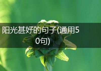 阳光甚好的句子(通用50句)