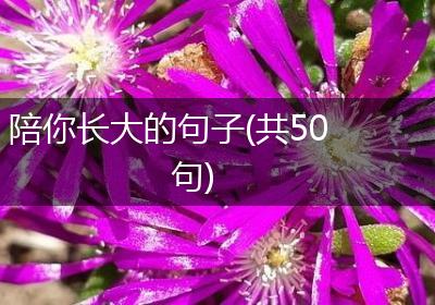 陪你长大的句子(共50句)