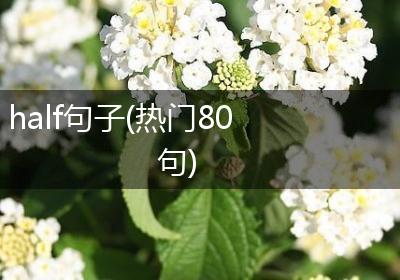 half句子(热门80句)