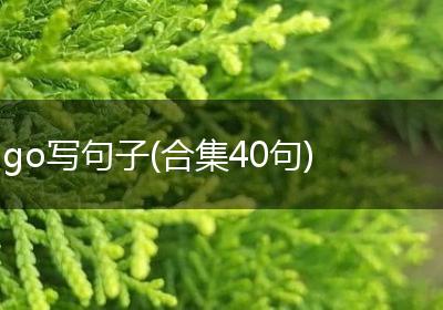 go写句子(合集40句)