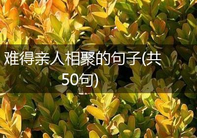难得亲人相聚的句子(共50句)