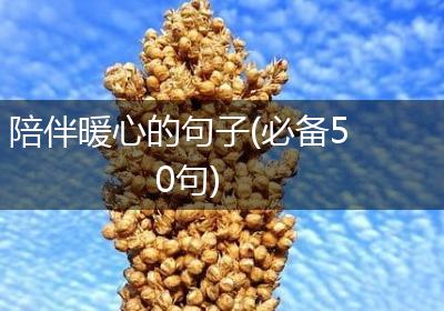 陪伴暖心的句子(必备50句)