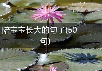 陪宝宝长大的句子(50句)