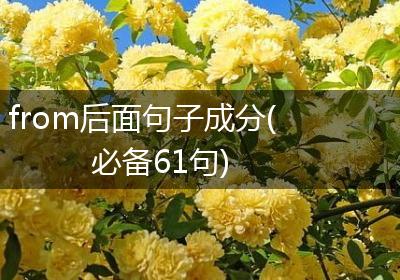 from后面句子成分(必备61句)