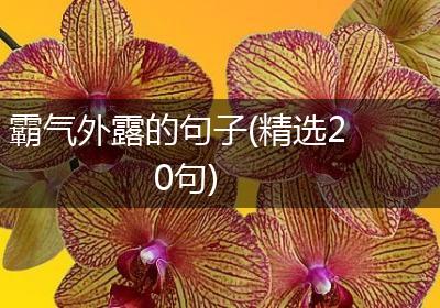 霸气外露的句子(精选20句)