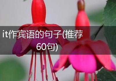 it作宾语的句子(推荐60句)