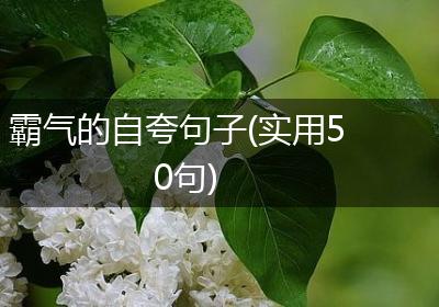 霸气的自夸句子(实用50句)