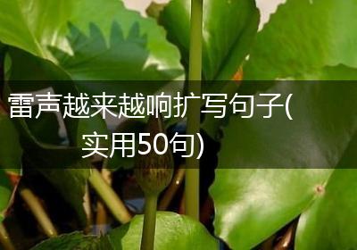 雷声越来越响扩写句子(实用50句)