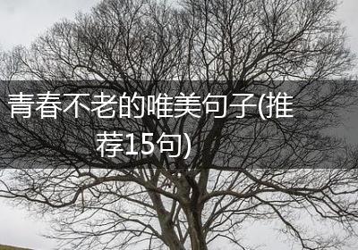 青春不老的唯美句子(推荐15句)