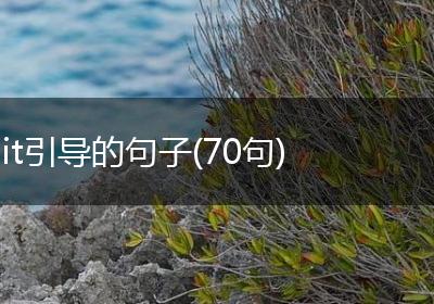 it引导的句子(70句)