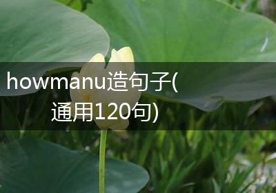 howmanu造句子(通用120句)