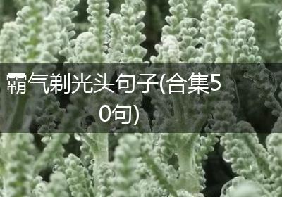 霸气剃光头句子(合集50句)