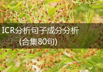 ICR分析句子成分分析(合集80句)