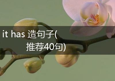it has 造句子(推荐40句)