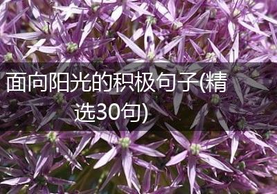 面向阳光的积极句子(精选30句)
