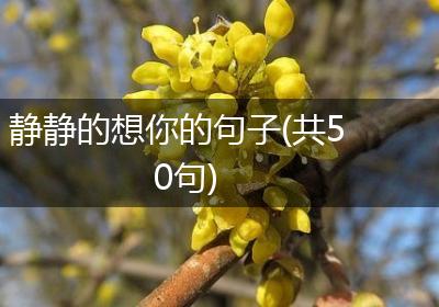 静静的想你的句子(共50句)