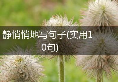静悄悄地写句子(实用10句)