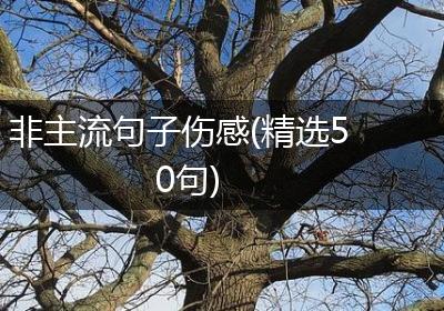 非主流句子伤感(精选50句)