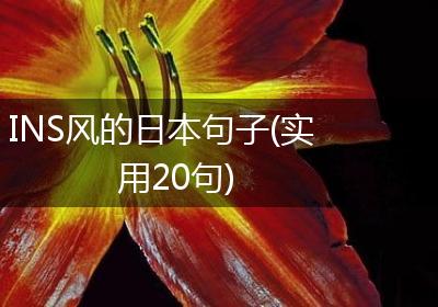 INS风的日本句子(实用20句)