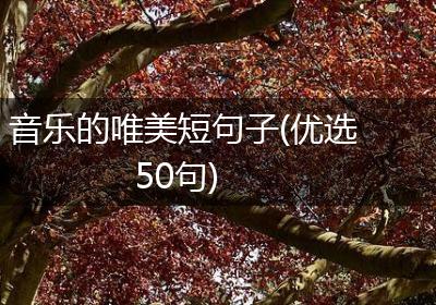 音乐的唯美短句子(优选50句)