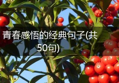 青春感悟的经典句子(共50句)