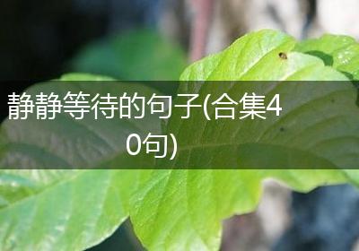 静静等待的句子(合集40句)