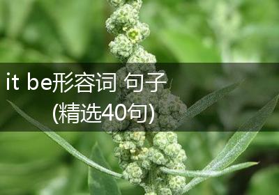 it be形容词 句子(精选40句)