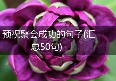 预祝聚会成功的句子(汇总50句)
