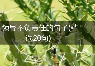 领导不负责任的句子(精选20句)