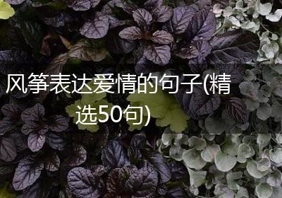 风筝表达爱情的句子(精选50句)